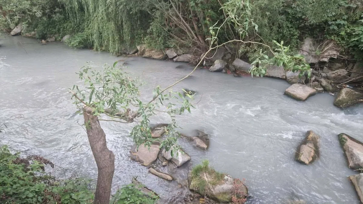 Reka Mislinja znova onesnažena, Koroška ribiška družina zaskbljena (FOTO)