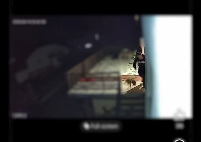 Mučenje psa v Dravogradu: Obveščeni inšpekcija in policija (FOTO)
