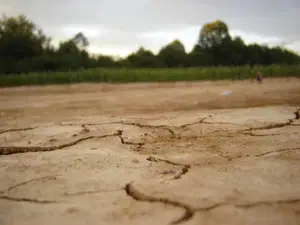 V večjem delu države izjemno sušne razmere, nekaj olajšanja bodo prinesle padavine prihodnje dni 