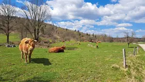 Sklad kmetijskih zemljišč in gozdov v vlogi skrbnika slovenske zemlje
