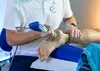 Od trna v peti do bolečega kolena: 4 pogoste tekaške težave – in kako varno premagati 10 km na K24
