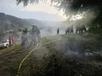 Strela zanetila gozdni požar v Velunji