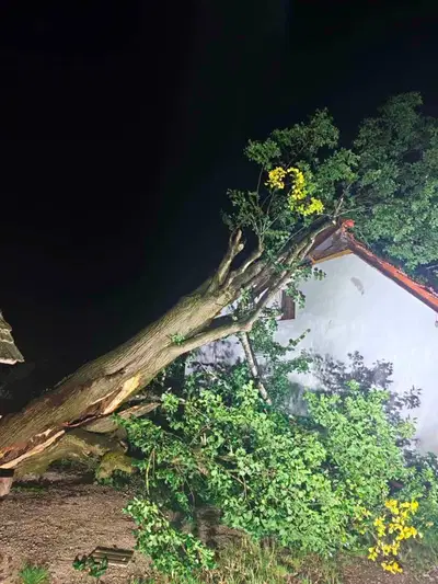 Na hišo v Mežici se je med nevihto podrlo drevo (FOTO)