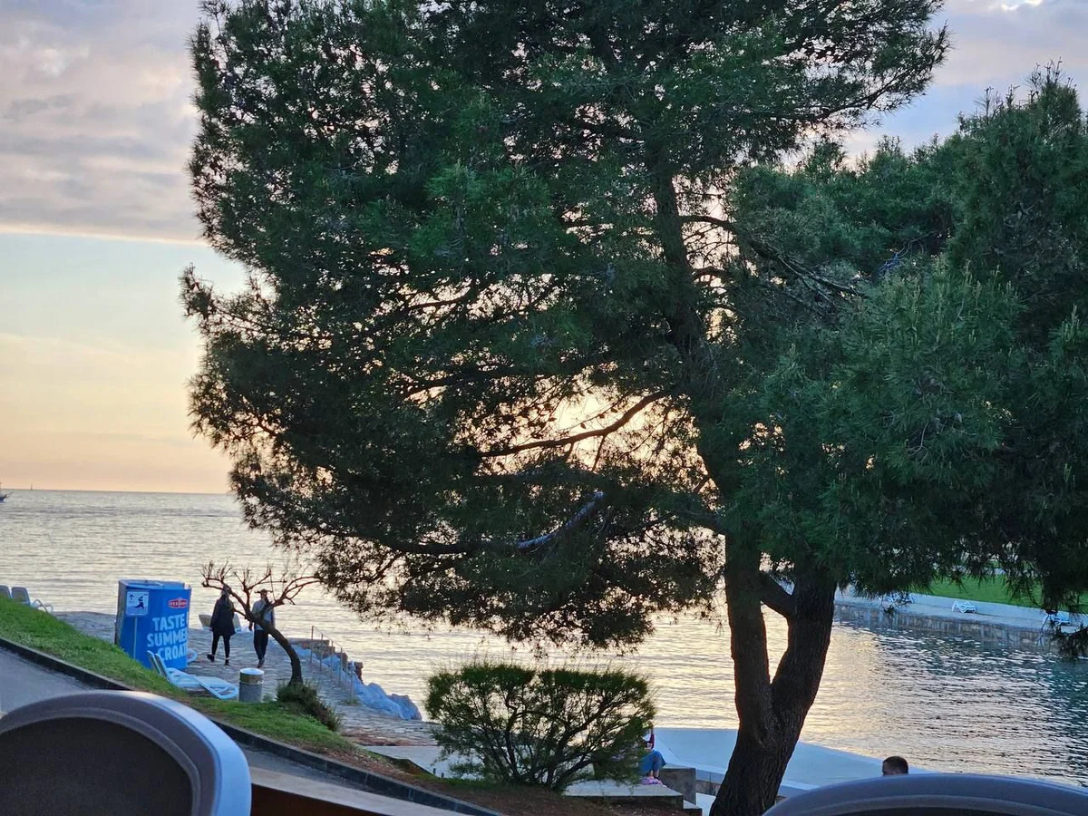 V Crikvenici se je na plažo podrl bor, lažje poškodovanih osem kopalcev
