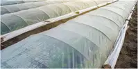 UV folija za rastlinjake: kako izbrati pravo debelino in jo pravilno namestiti?