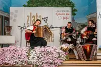 45. Zlata harmonika Ljubečna – jubilej tradicije, glasbe in ljudi
