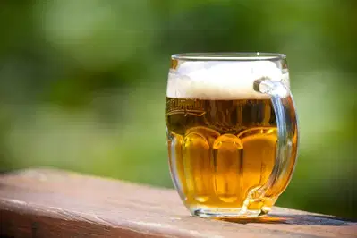 Cene piva na letošnjem Oktoberfestu petkrat višje kot leta 1985