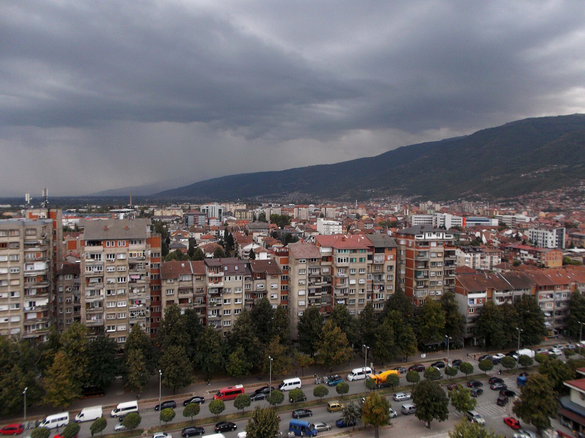 Pri dveh poginulih vranah iz Ljubljane in Grosuplja potrdili virus Zahodnega Nila