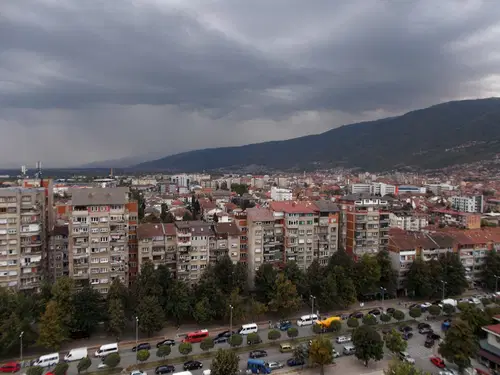Pri dveh poginulih vranah iz Ljubljane in Grosuplja potrdili virus Zahodnega Nila