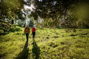 RRA Koroške vabi k sodelovanju na raziskavi o turizmu na Koroškem
