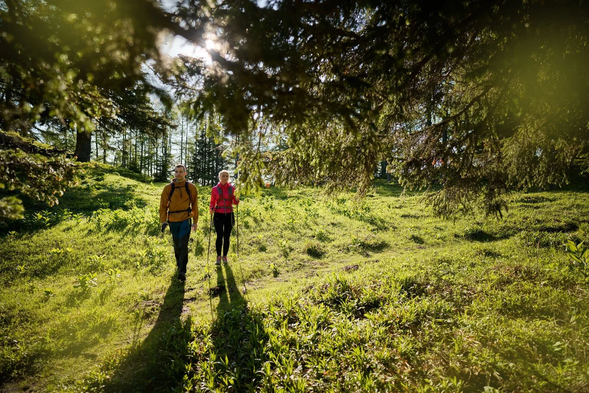 RRA Koroške vabi k sodelovanju na raziskavi o turizmu na Koroškem