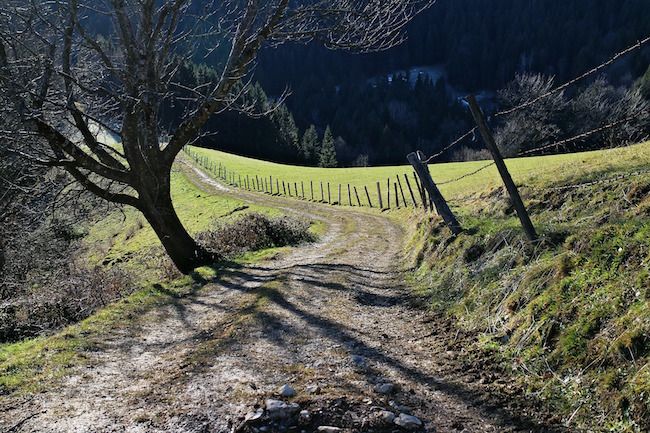 Pohod Dovže – Graška Gora