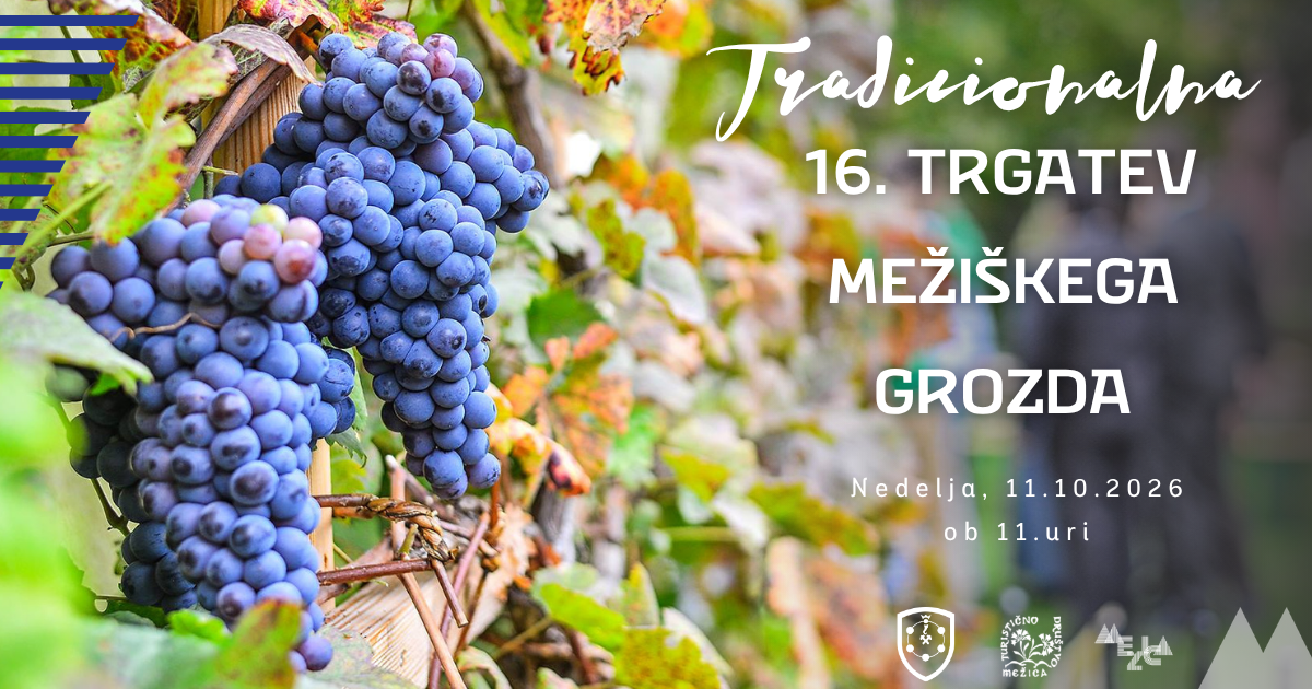 TRADICIONALNA 16. TRGATEV MEŽIŠKEGA GROZDA