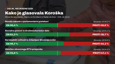 Kako je glasovala Koroška: izidi referendumov po okrajih