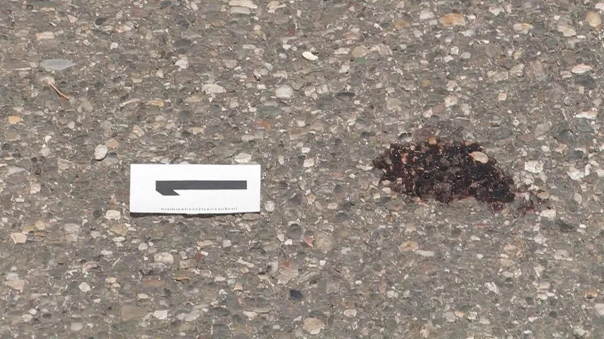 MARIBOR: Otrok padel skozi okno