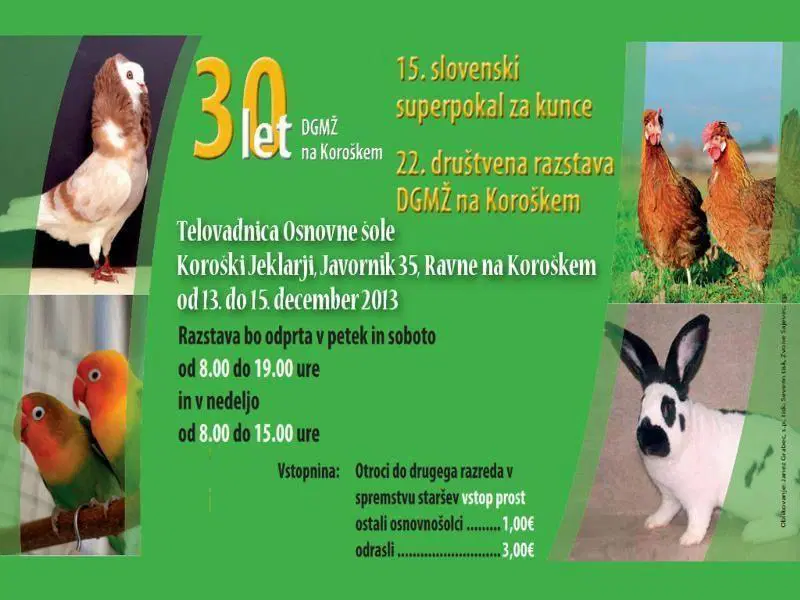 VIDEO: 22. društvena razstava DGMŽ na Koroškem