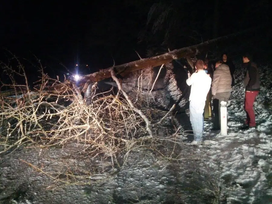 Prvi sneg podiral drevesa, veliko gospodinjstev brez električne energije