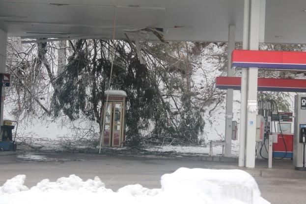 FOTOGALERIJA: Posledice podiranja dreves v okolici Slovenj Gradca