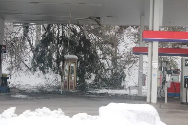 FOTOGALERIJA: Posledice podiranja dreves v okolici Slovenj Gradca