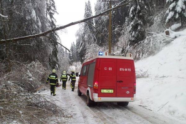 Obseg škode žledoloma v gozdovih Koroške