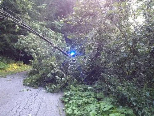 VIDEO: Neurje na Koroškem