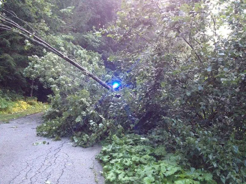 VIDEO: Neurje na Koroškem