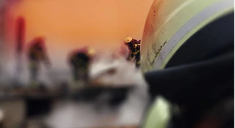 V požaru v Šentjanžu nad Radljami umrl 84-letni moški