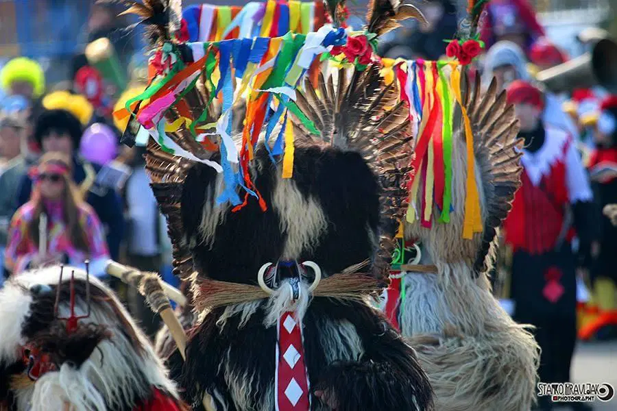 FOTOGALERIJA: 37. pustni karneval Kotlje