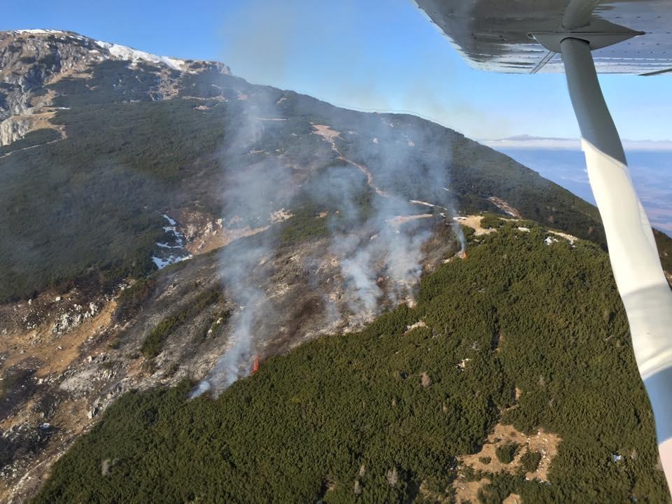 FOTO in VIDEO: Gorelo približno 5 hektarjev površine