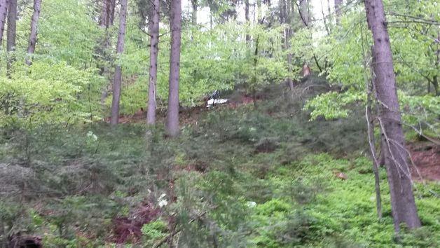 V strmoglavljenju letala umrl Slovenjgradčan