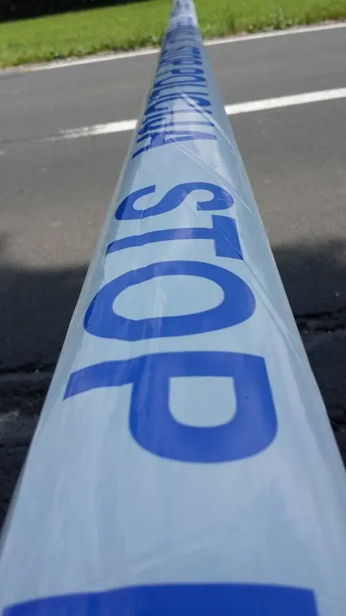 SELE: Voznica zapeljala v jarek in pristala na strehi