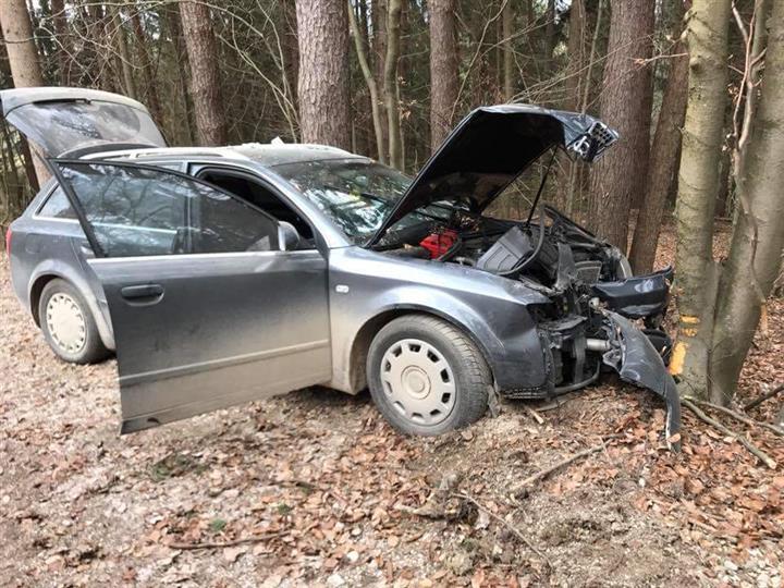 FOTO: Na Poljani trčila v drevo