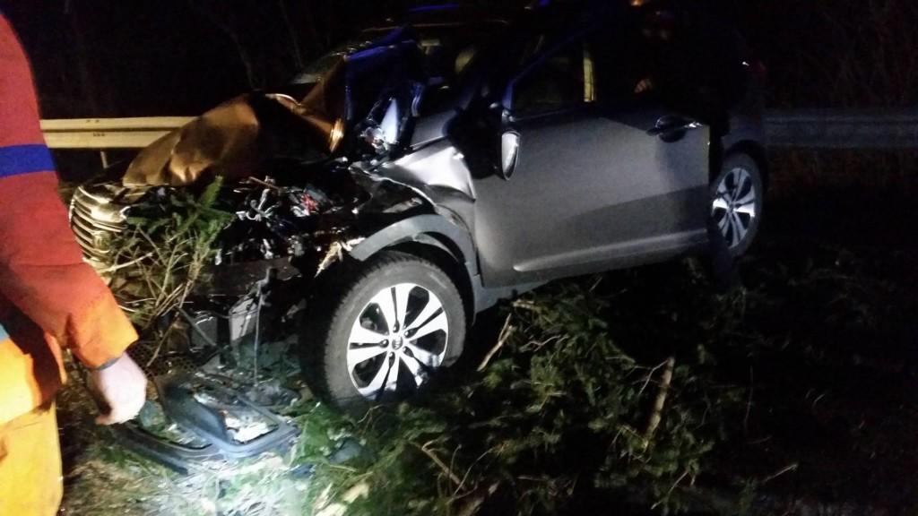 FOTO: Dravograd - Radlje, pri 'Murnhofu': Drevesa padla na kar tri vozila