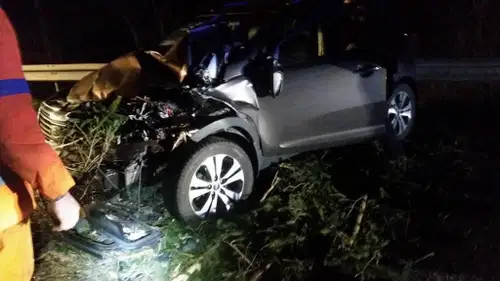 FOTO: Dravograd - Radlje, pri 'Murnhofu': Drevesa padla na kar tri vozila