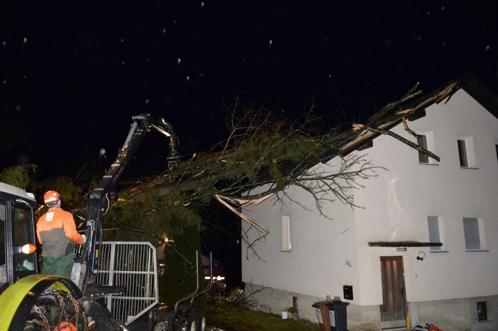 FOTO: Podrto drevo na stanovanjski hiši v Dravogradu