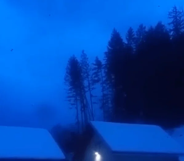 VIDEO: Tako je nad Dravogradom veter podiral drevesa