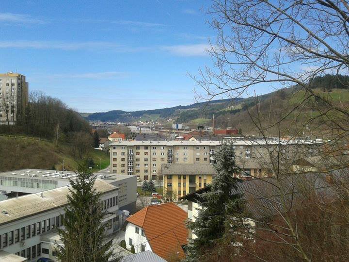 Društvo Solzice: Predlog zakona diskriminira Koroško!