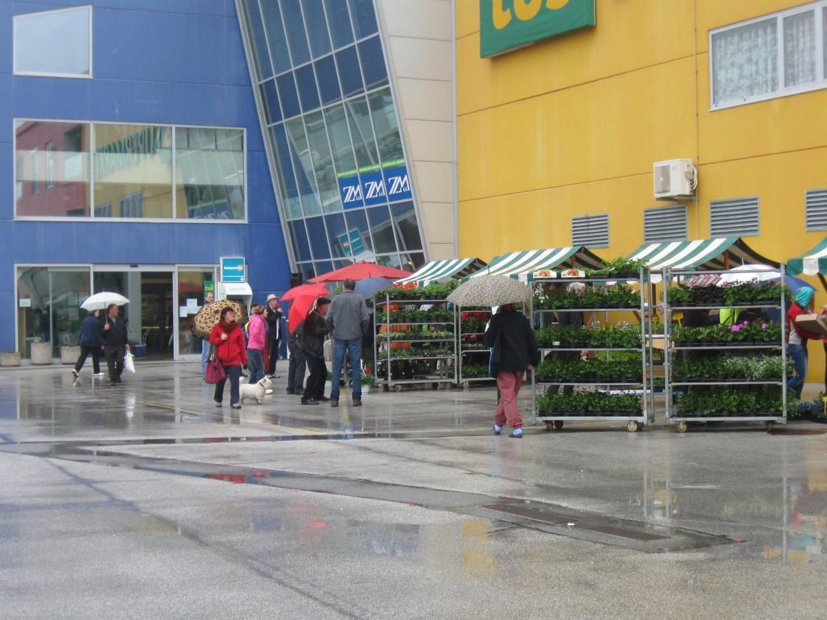 V Mislinji tudi letos tradicionalni sejem sadik in cvetja