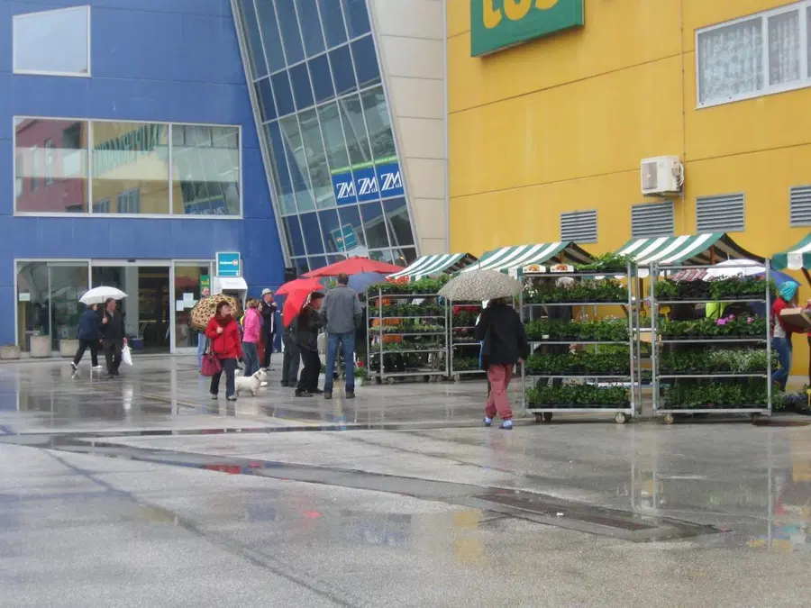 V Mislinji tudi letos tradicionalni sejem sadik in cvetja