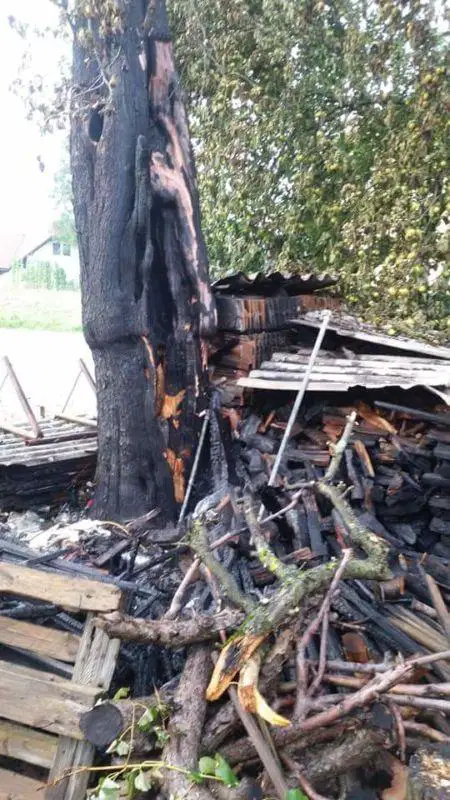 FOTO: Zagorelo drevo v Šmartnem ogrožalo stanovanjski objekt