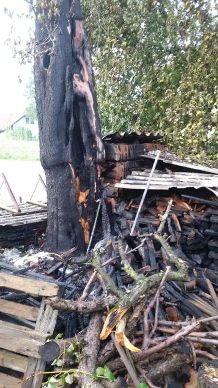 FOTO: Zagorelo drevo v Šmartnem ogrožalo stanovanjski objekt