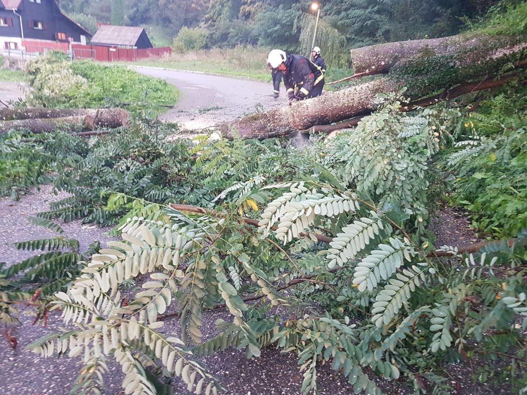 Zapihal bo okrepljen severnik, možen je vetrolom