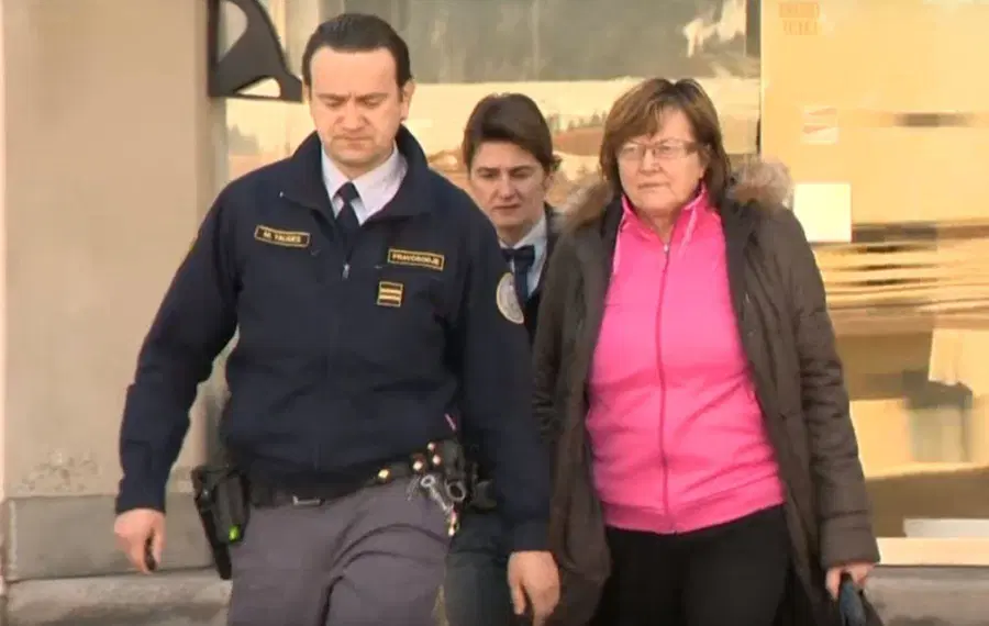 Tovšakovi izrekli kazen za še eno oškodovanje Vegrada