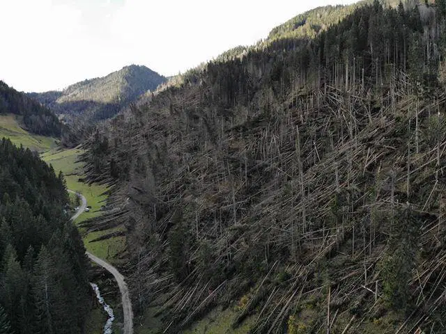 FOTO: Vetrolom v Koprivni - najnovejše informacije