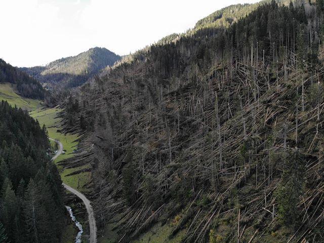 FOTO: Vetrolom v Koprivni - najnovejše informacije