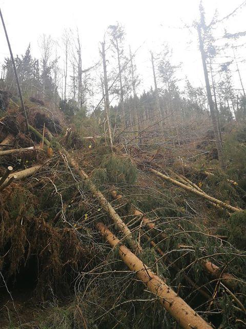 FOTO: Vetrolom v Koprivni, gasilci na delu že ves dan