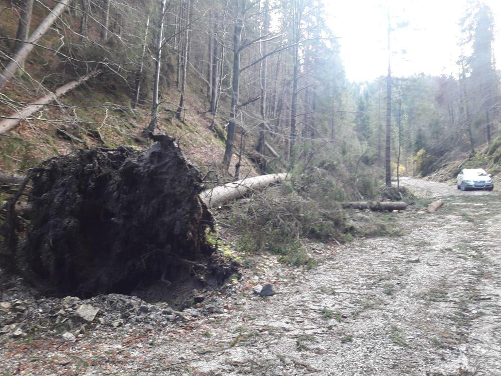 FOTO: Vetrolom na Ludranskem vrhu