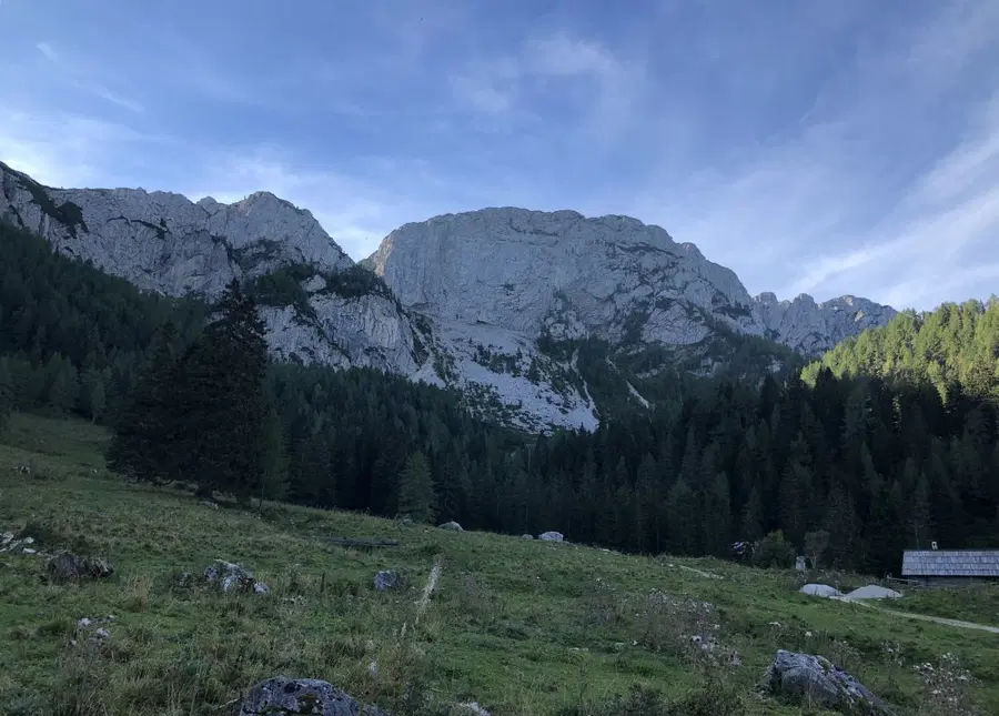 K-24: Premagajo ga le najmočnejši