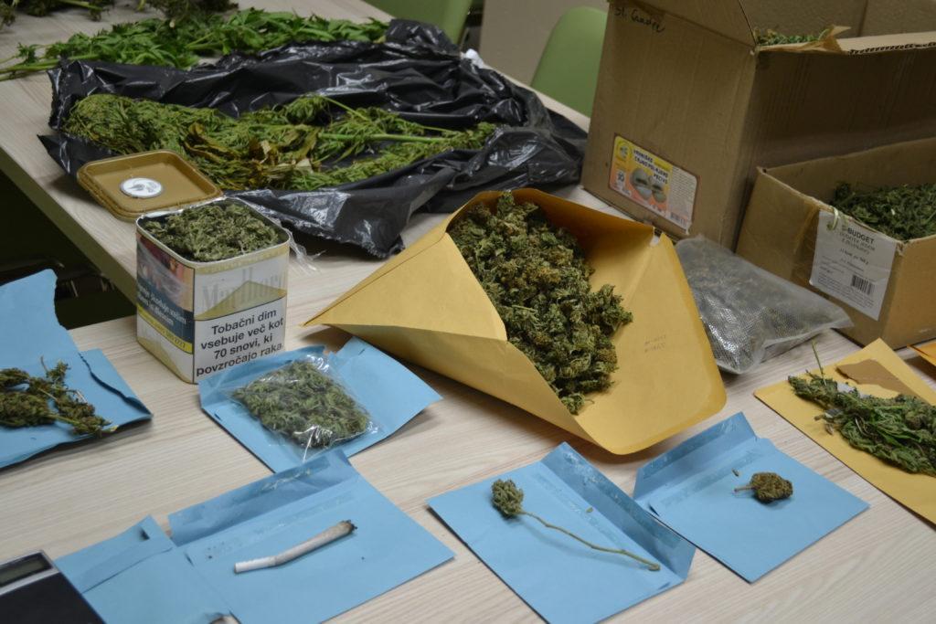 Policisti na območju Slovenj Gradca zasegli konopljo