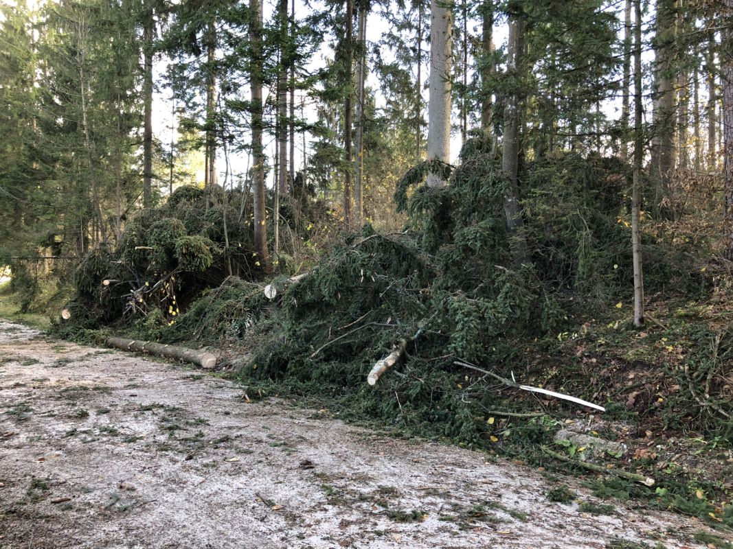 O posledicah neurja tudi z območja Raven, Mežice in Slovenj Gradca